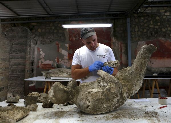 Исследование останков жителей древнеримского города Помпеи, погибших в результате извержения вулкана Везувий 24 августа 79 года