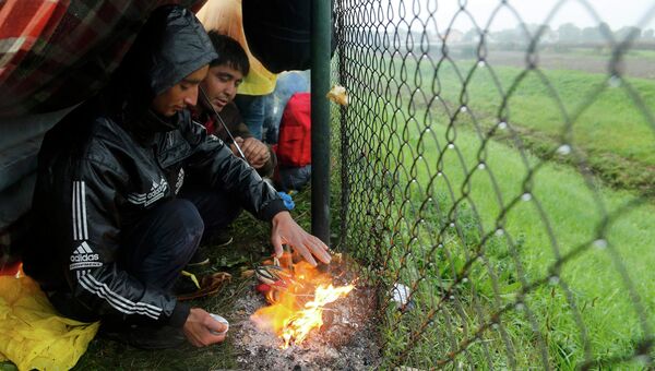 Мигранты на границе между Хорватией и Словенией