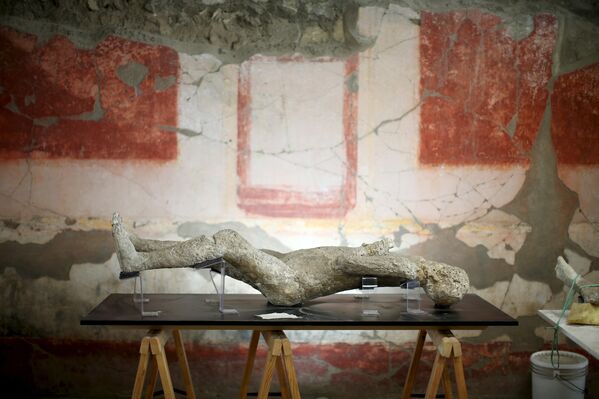 Исследование останков жителей древнеримского города Помпеи, погибших в результате извержения вулкана Везувий 24 августа 79 года