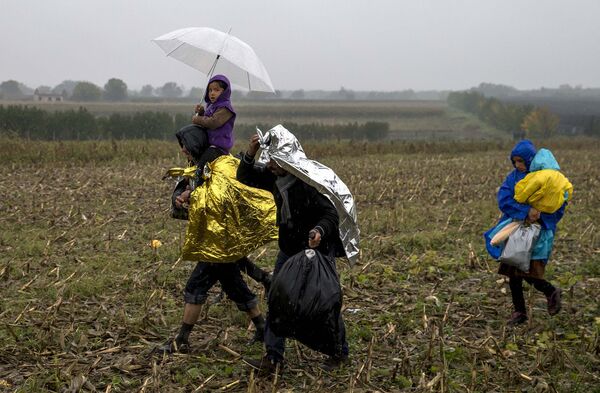 Мигранты на границе между Сербией и Хорватией
