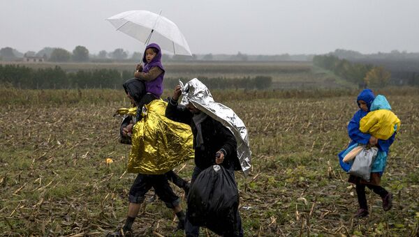 Мигранты на границе между Сербией и Хорватией