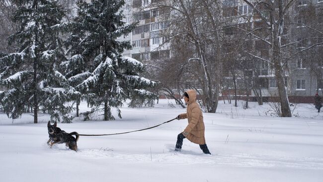 Заснеженные улицы. Архивное фото