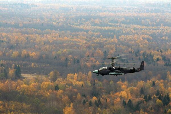 Вертолет Ка-52 Аллигатор на летно-тактических учениях армейской авиации Западного военного округа в Псковской области