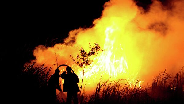 Пожары в Индонезии. Архивное фото