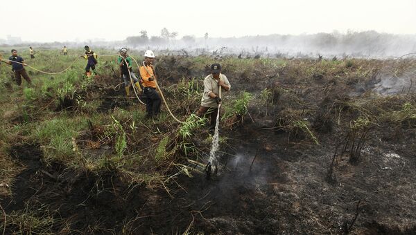 Тушение лесных пожаров в Индонезии. 22 октября 2015. Архивное фото