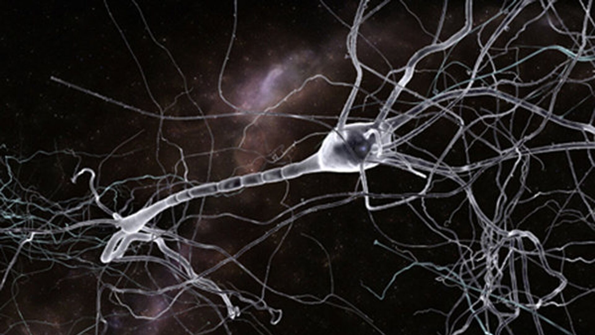Так художник представил себе нейрон, покрытый опиоидными рецепторами - РИА Новости, 1920, 25.10.2015