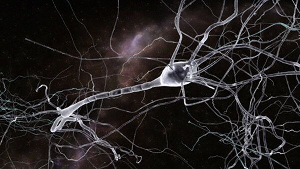 Так художник представил себе нейрон, покрытый опиоидными рецепторами