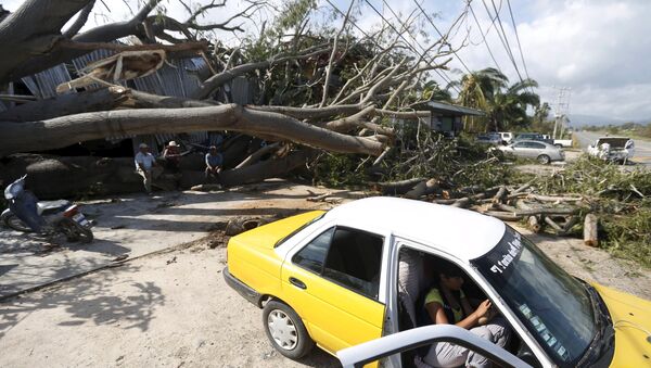 Ураган Патрисия повалил деревья в Мексике