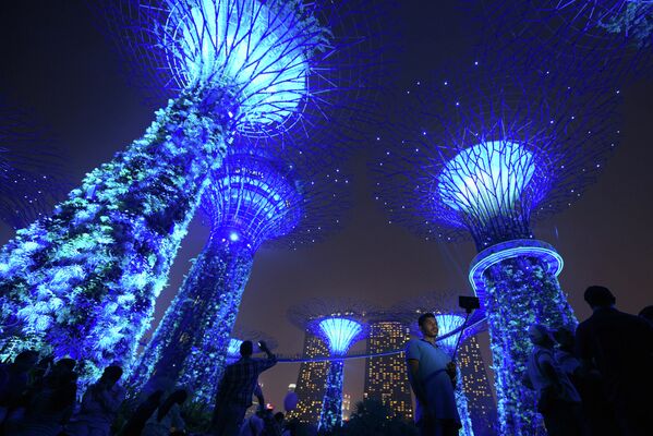 Cады у залива в Сингапуре подсвечены синим в день 70-летия ООН