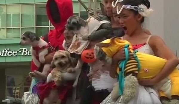 Собачья мода для Хэллоуина