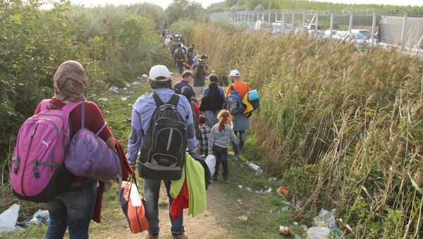 Беженцы, не успевшие перейти на венгерскую сторону, бредут вдоль границы