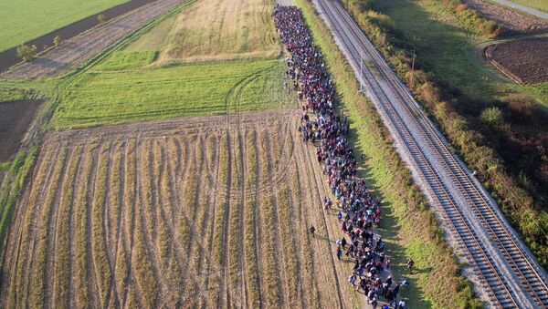 Мигранты на хорватско-словенской границе. Архивное фото