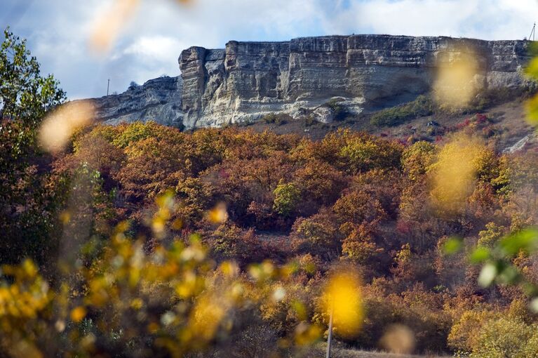 Вид на лес и горы в районе села Трудолюбовка в Крыму