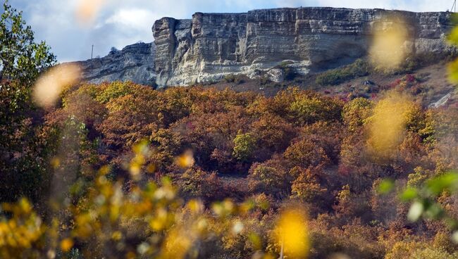 Вид на лес и горы в районе села Трудолюбовка в Крыму. Архивное фото