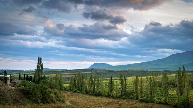 В окрестностях села Нижняя Кутузовка в Крыму. Архивное фото