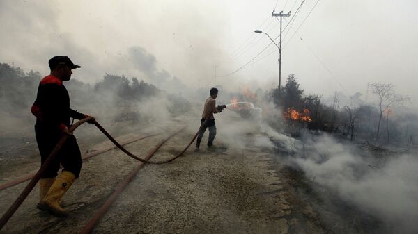 Пожарные тушат лесной пожар в Индонезии. Архивное фото