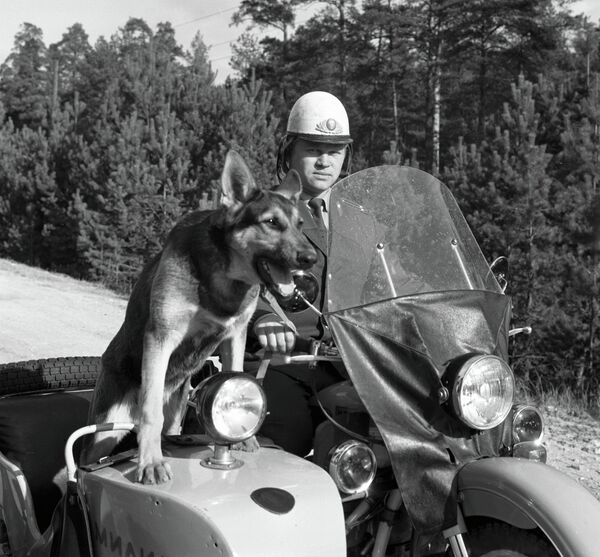 Лейтенант лесной милиции с собакой объезжает лесничество
