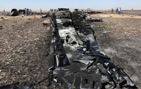 Российские и египетские специалисты на месте крушения самолета Когалымавиа, выполнявшего рейс из Шарм-эль-Шейха в Санкт-Петербург. 1 ноября 2015