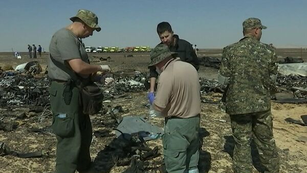 Спасатели собирали материалы для следствия на месте крушения Airbus A321
