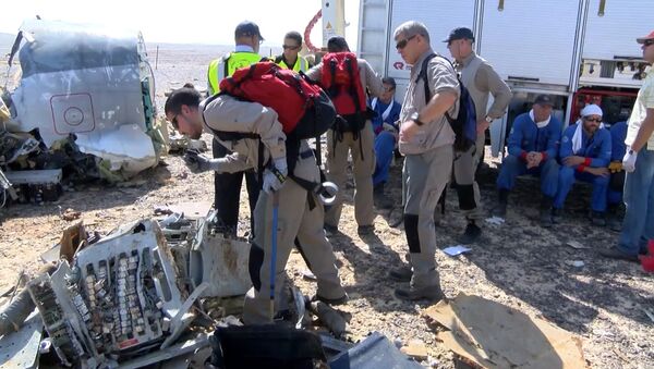 Иностранные специалисты фотографировали фрагменты разбившегося в Египте A321