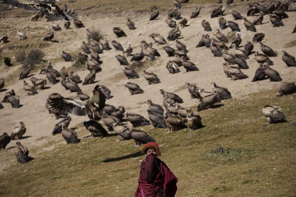 Буддистский монах на фоне грифов на кладбище у института буддизма Ларунг Гар, Тибетский автономный район, КНР