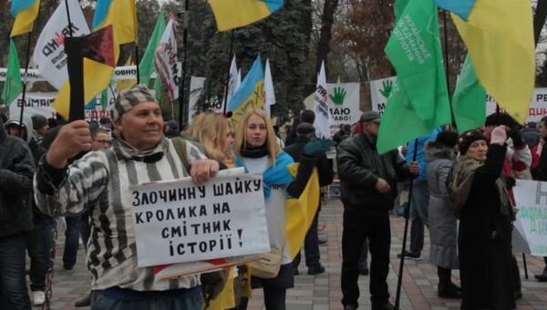 Сторонник УКРОПа вышел на митинг у Рады с плакатом против шайки Кролика