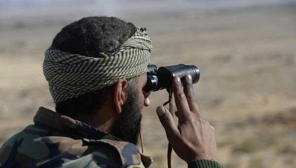Солдат 18 дивизии 3 корпуса Сирийской Арабской Армии (САА) наблюдает за боевыми позициями боевиков в 20 километрах от города Пальмира. Архивное фото