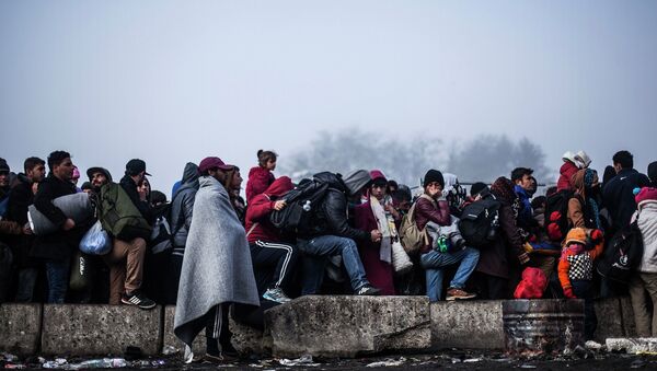 Беженцы на границе Словении и Австрии. Ноябрь 2015