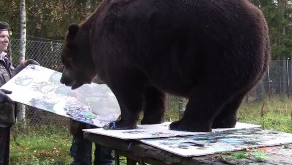 Медведь-художник