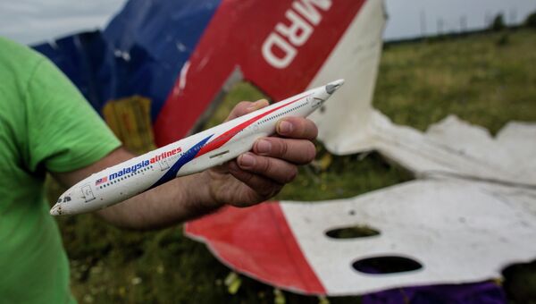 Мужчина демонстрирует модель разбившегося самолета, найденную на месте крушения лайнера Boeing 777 Малайзийских авиалиний в районе села Рассыпное Донецкой области. Архивное фото
