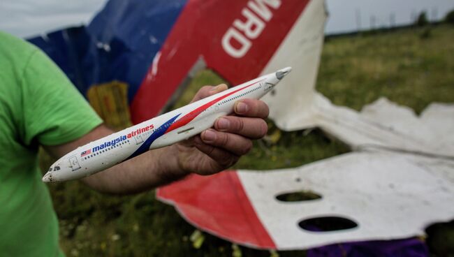 Поисковые работы на месте крушения малайзийского лайнера Boeing 777 в Донецкой области. Архивное фото