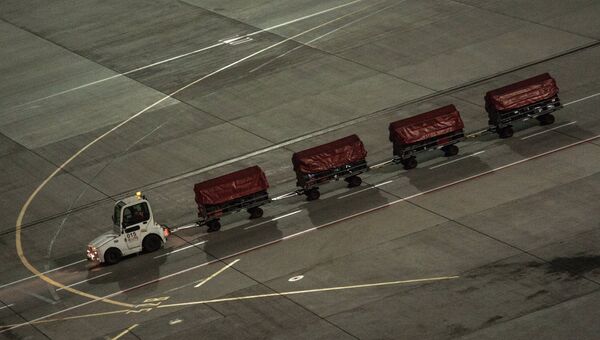 Багаж покидающих Египет российских туристов, доставленный спецбортом МЧС России, в терминале А аэропорта Внуково в Москве. Архивное фото