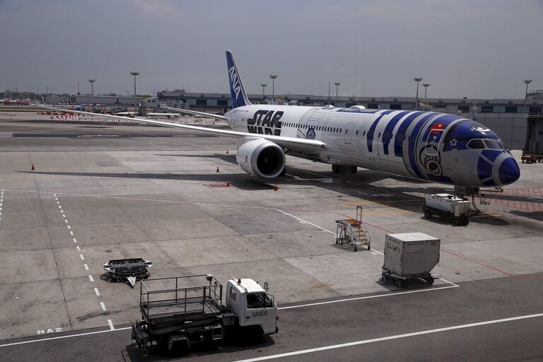 Тематический самолет Boeing 787 Dreamliner авиакомпании All Nippon Airways (ANA). Аэропорт Чанги, Сингапур, 2015 год