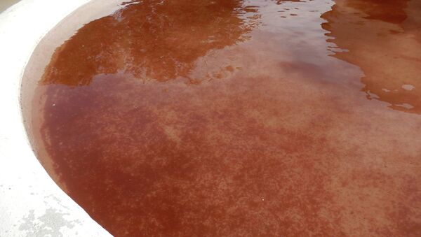 Бассейн, окрашенный в красный цвет после кровавых дождей осени 2014 года