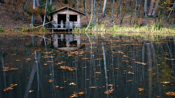 Лесное озеро. Архивное фото
