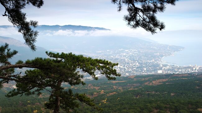 Вид на горы и Ялту с дороги на гору Ай-Петри в Крыму. Архивное фото