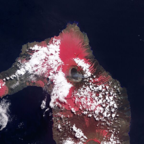 Извержение вулкана Вольфа, Галапагосские острова