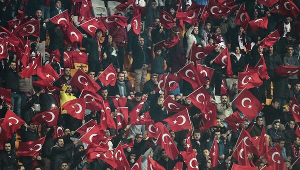 Турецкие болельщики во время матча между сборной Турции и Греции по футболу в Стамбуле. 17 ноября 2015