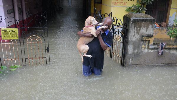 Мужчина несет свою собаку по затопленной улице в результате дождей в Ченнаи. Архивное фото