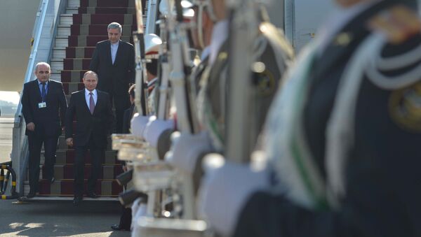 Президент России Владимир Путин во время встречи в аэропорту Мехрабад