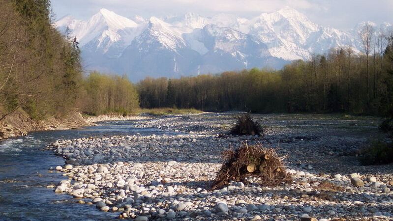 Карпаты - РИА Новости, 1920, 23.12.2025