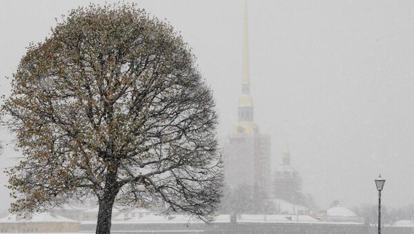 Обильный снегопад в Санкт-Петербурге. Архивное фото