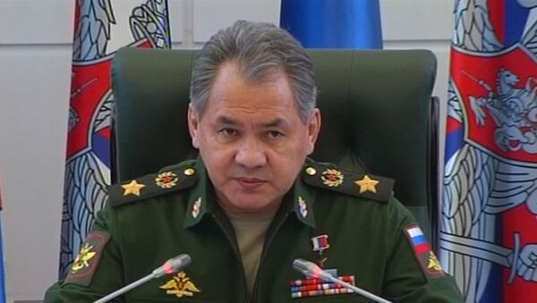 Министр обороны РФ генерал армии Сергей Шойгу, Архивное фото