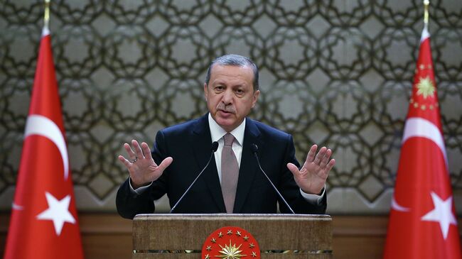 Президент Турции Реджеп Тайип Эрдоган. Архивное фото