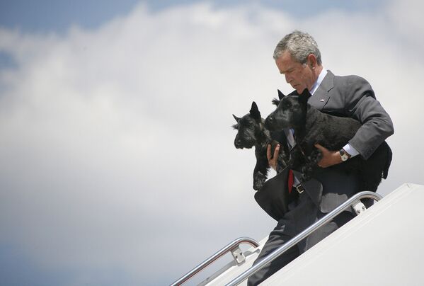 Американский политик Джордж Буш со своими домашними любимцами (Барни и Бизли) на руках выходит из самолета. 2006 год