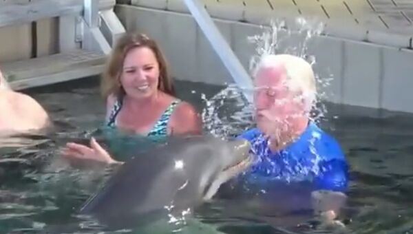 Дельфин оплевал посетителя дельфинария