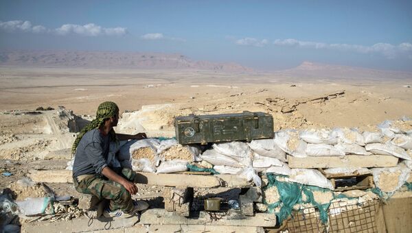 Боец из подразделения Сирийской Хезболлы на наблюдательном пункте в 20 км к западу от Пальмиры