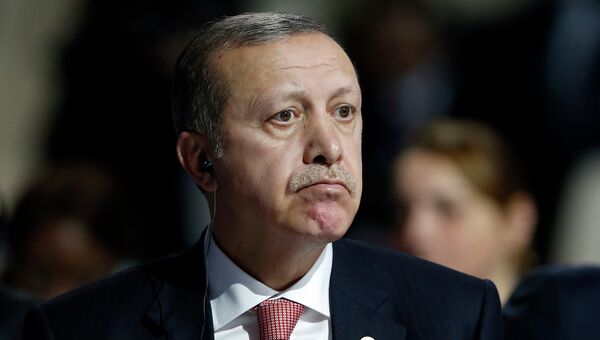 Президент Турции Тайип Эрдоган на климатической конференции ООН в Париже. Архивное фото