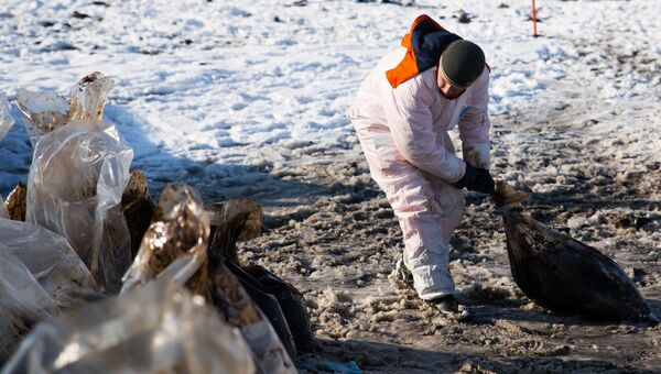 Очистка побережья после нефтяного разлива на Сахалине. Архивное фото