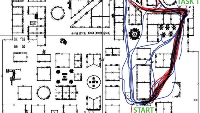 Красным отмечены пути движения мужчин, а синим – женщин Красным отмечены пути движения мужчин, а синим – женщин